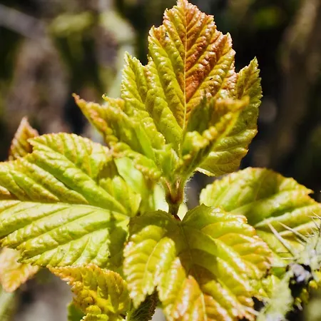 Komfort-ferienhaus - Extertal-ferienpark Fuer 1-5 Personen Sauna Semesterbostad Extertal