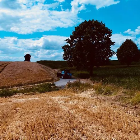 Komfort-ferienhaus - Extertal-ferienpark Fuer 1-5 Personen Sauna