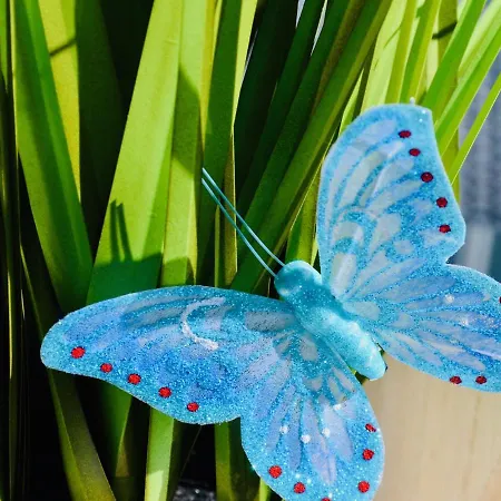 Komfort-ferienhaus - Extertal-ferienpark Fuer 1-5 Personen Sauna *