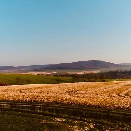 بيت للعطل Komfort-ferienhaus - Extertal-ferienpark Fuer 1-5 Personen Sauna *