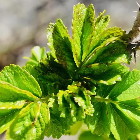 Komfort-ferienhaus - Extertal-ferienpark Fuer 1-5 Personen Sauna Semesterbostad *