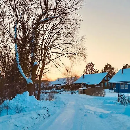 Semesterbostad Komfort-ferienhaus - Extertal-ferienpark Fuer 1-5 Personen Sauna *