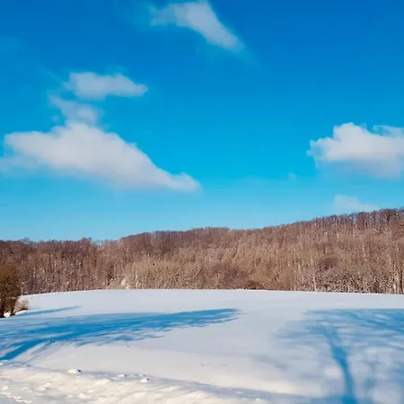 بيت للعطل Komfort-ferienhaus - Extertal-ferienpark Fuer 1-5 Personen Sauna Extertal