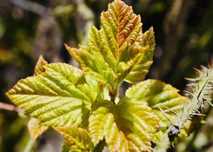 Komfort-ferienhaus - Extertal-ferienpark Fuer 1-5 Personen Sauna Hébergement de vacances Extertal