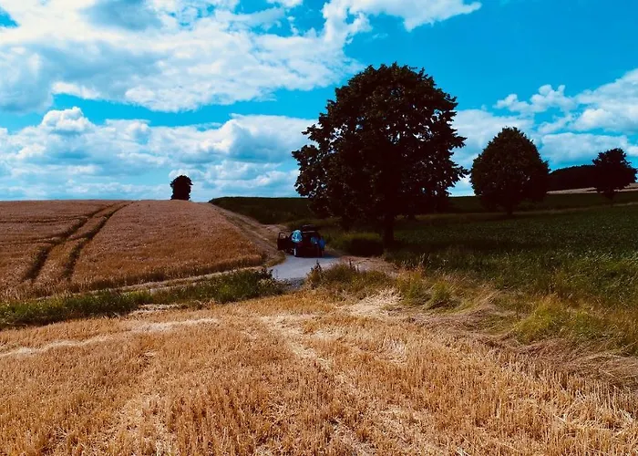 Komfort-ferienhaus - Extertal-ferienpark Fuer 1-5 Personen Sauna