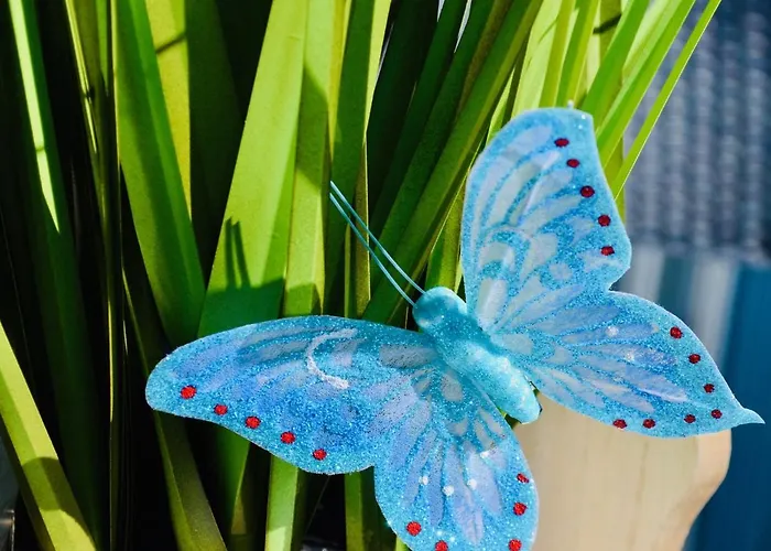 Komfort-ferienhaus - Extertal-ferienpark Fuer 1-5 Personen Sauna *