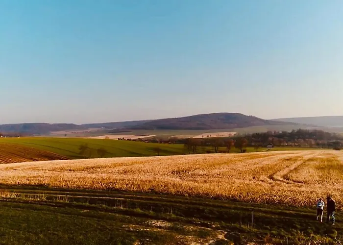 Hébergement de vacances Komfort-ferienhaus - Extertal-ferienpark Fuer 1-5 Personen Sauna *