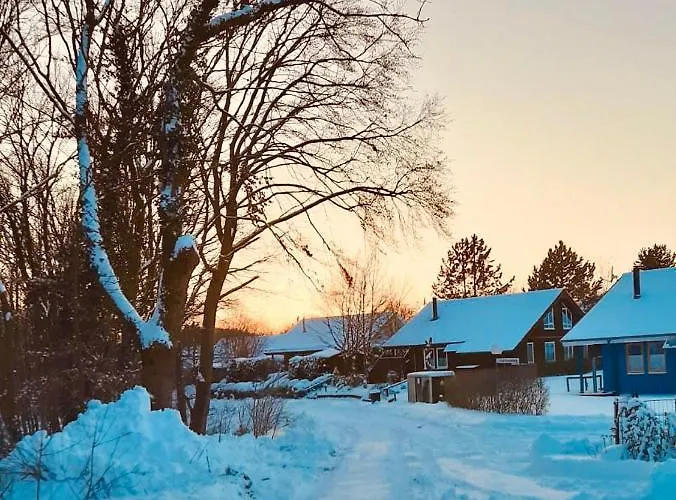 Hébergement de vacances Komfort-ferienhaus - Extertal-ferienpark Fuer 1-5 Personen Sauna *