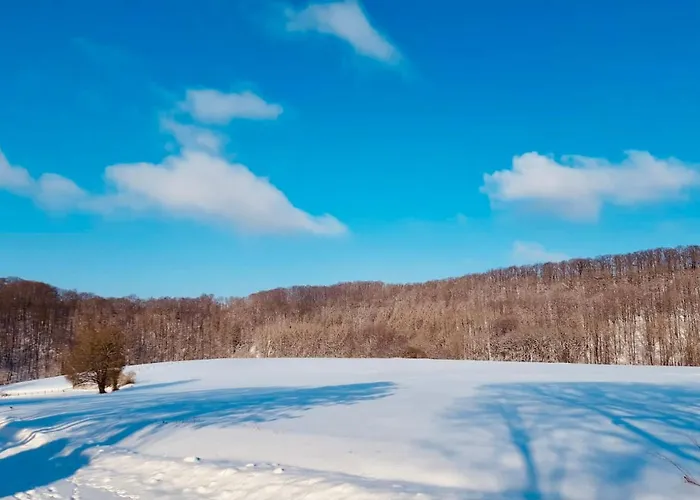 Hébergement de vacances Komfort-ferienhaus - Extertal-ferienpark Fuer 1-5 Personen Sauna Extertal